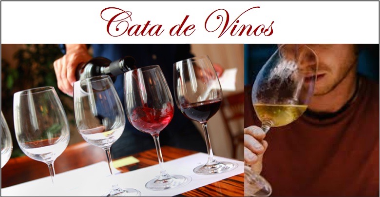 cata de vinos